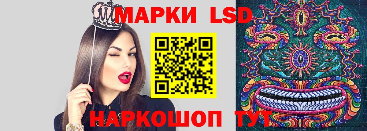 Марки N-bome 1500мкг  Марки NBOMe  Камышлов  Вход с VPN  Марки N-bome 1500мкг 