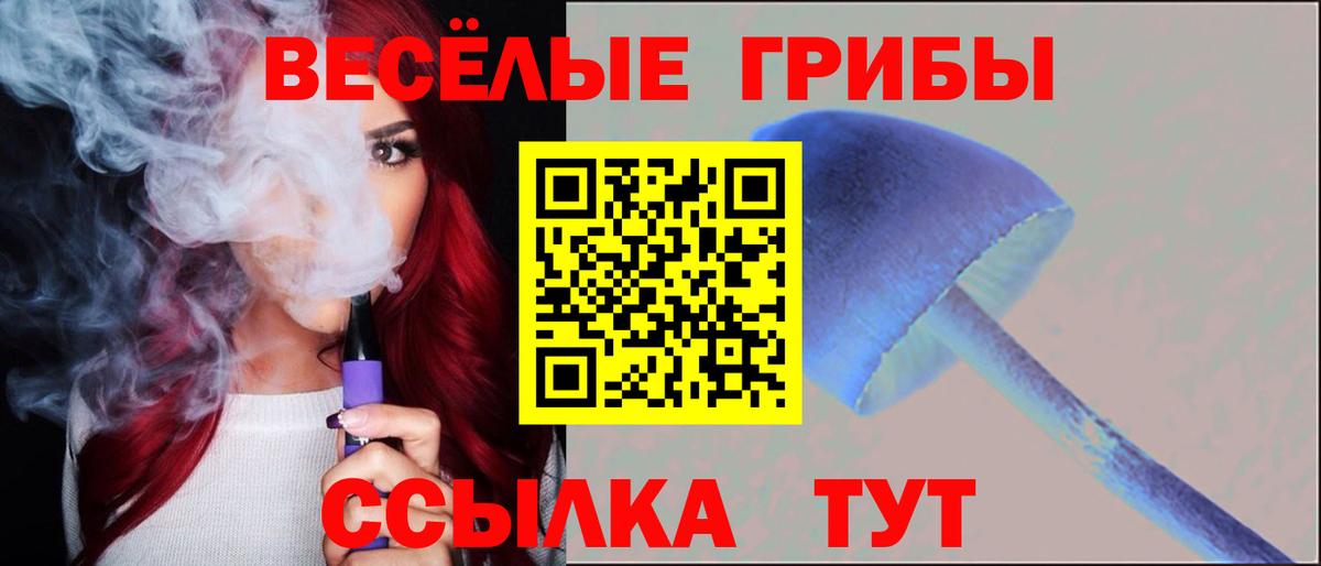 Галлюциногенные грибы Psilocybine cubensis  Псилоцибиновые грибы Magic Shrooms  Вход с VPN  Камышлов 