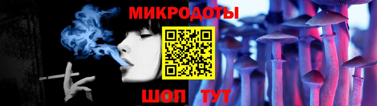 Галлюциногенные грибы Psilocybe Камышлов